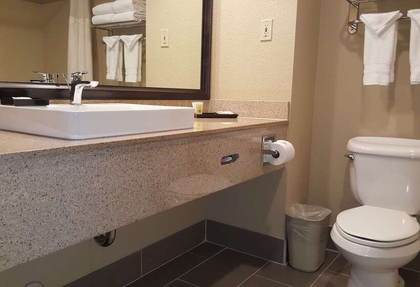 فندق Best Western Plus Airport Inn & Suites