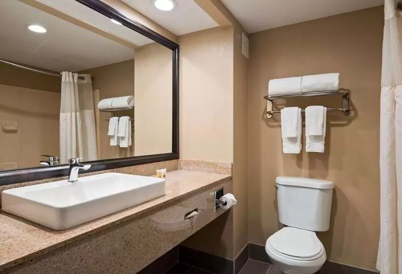 酒店 Best Western Plus Airport Inn & Suites