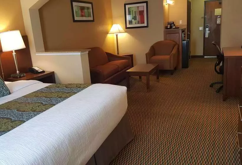 酒店 Best Western Plus Airport Inn & Suites