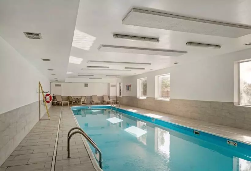 호텔 Best Western Des Plaines Inn