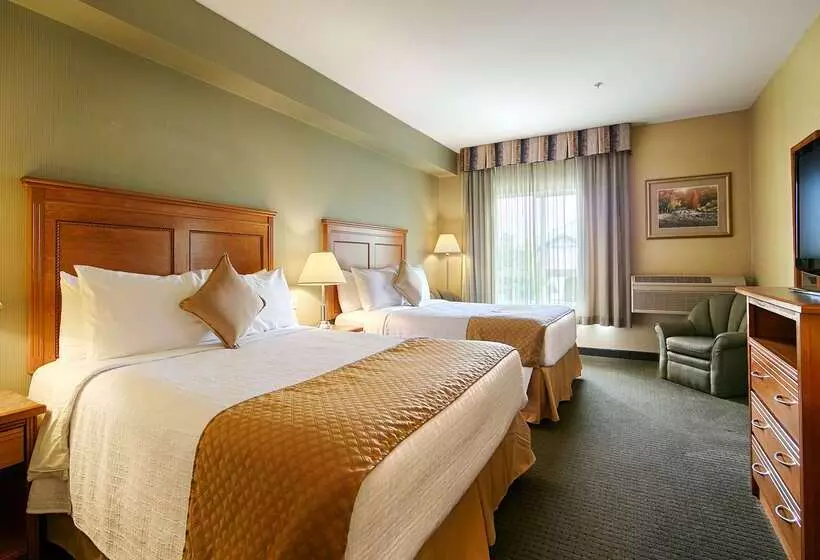 酒店 Best Western King George Inn & Suites