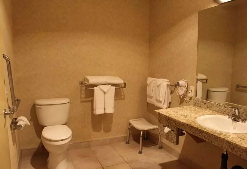 酒店 Best Western King George Inn & Suites