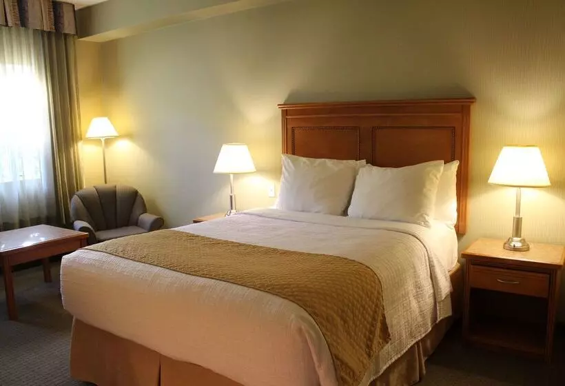 酒店 Best Western King George Inn & Suites