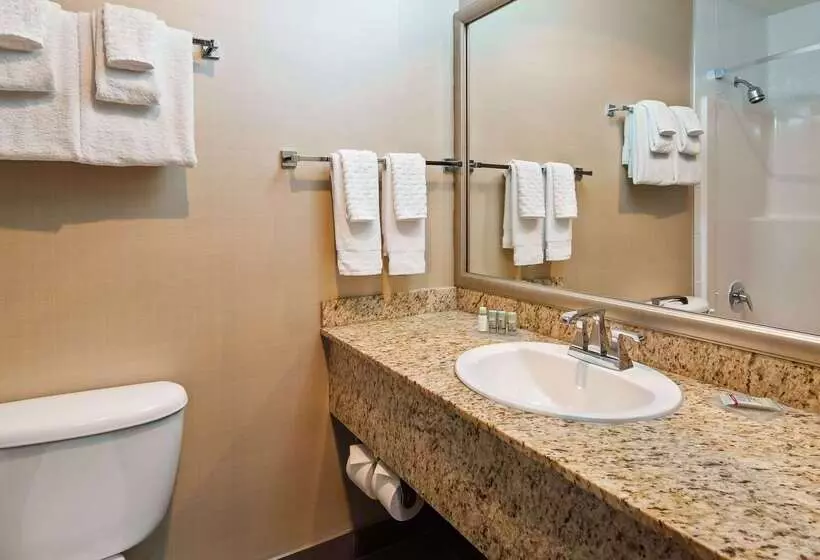 酒店 Best Western King George Inn & Suites