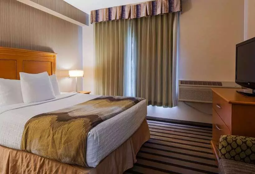 酒店 Best Western King George Inn & Suites