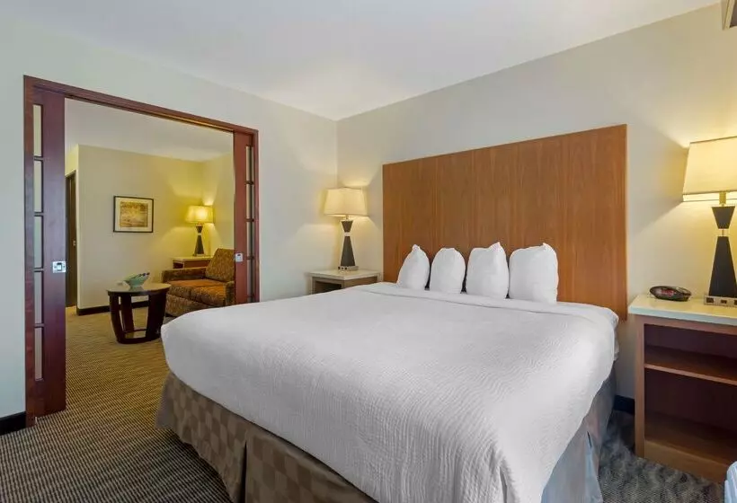 酒店 Best Western Plus Park Place Inn & Suites