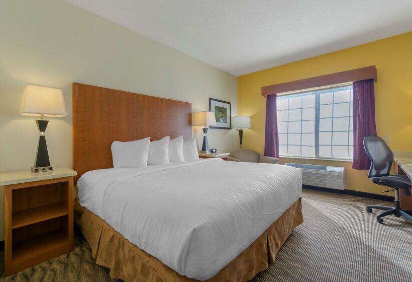 בית מלון כפרי Best Western Plus Park Place Inn & Suites