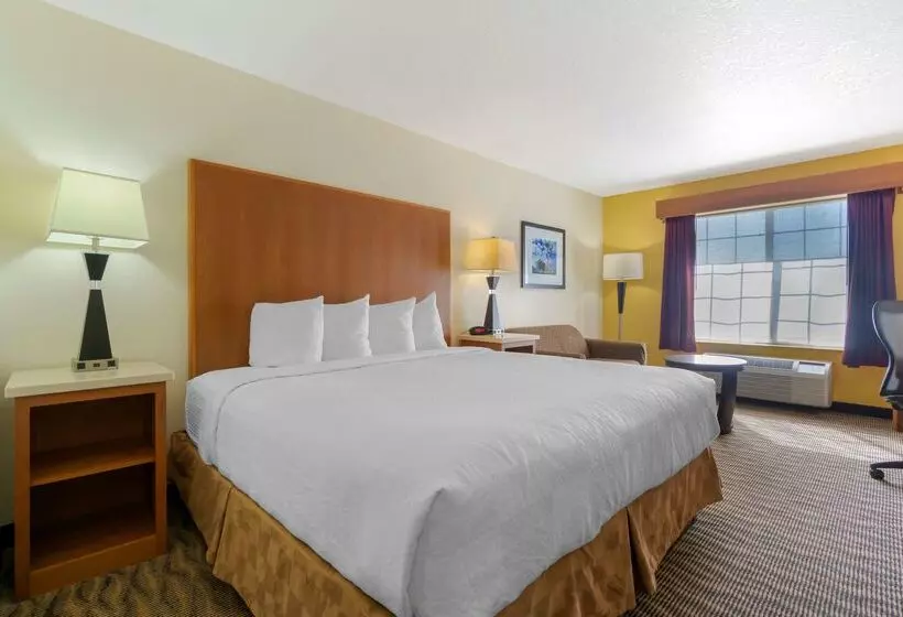 酒店 Best Western Plus Park Place Inn & Suites