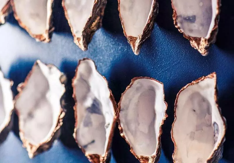 Hotel Mercure Swansea