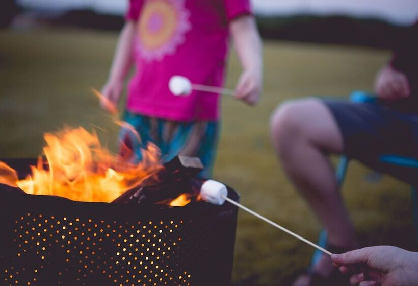 Hotel Canvas & Clover