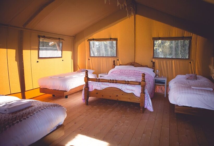 Hotel Canvas & Clover