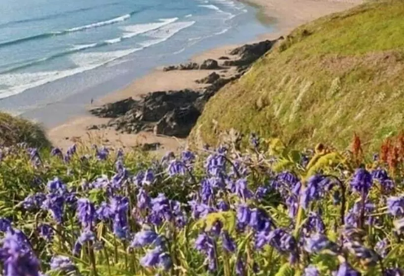 Hotelli St. Davids Cross