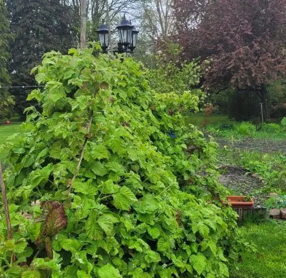 ペンション Le Relais De L Aube