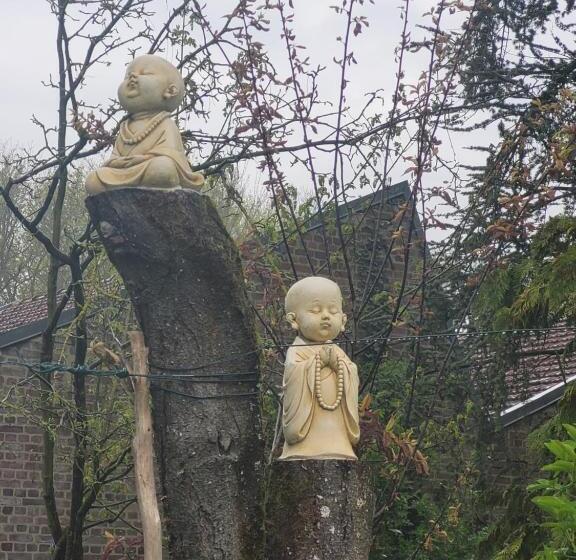 بنسيون Le Relais De L Aube