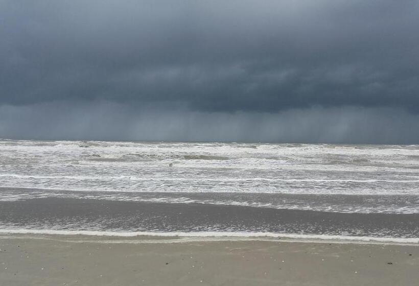 بنسيون Le Relais De L Aube