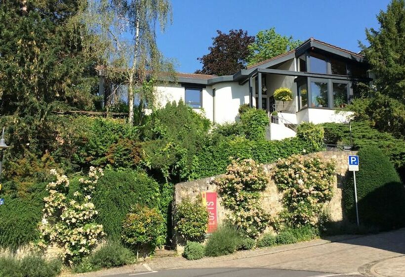 بنسيون Oppenheim Lofts