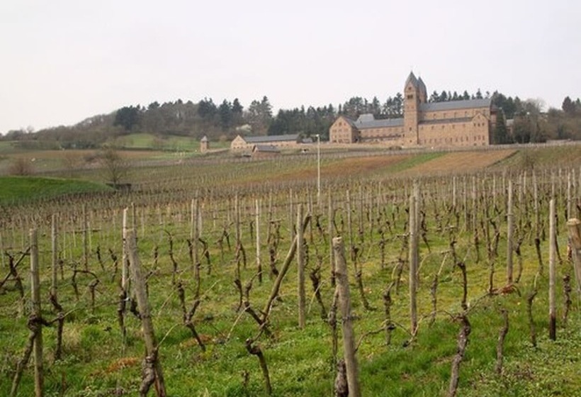 Пансион Weingut Jacob Lill Iv. Nachfolger