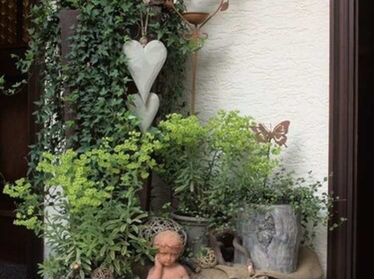 Пансион Weingut Jacob Lill Iv. Nachfolger