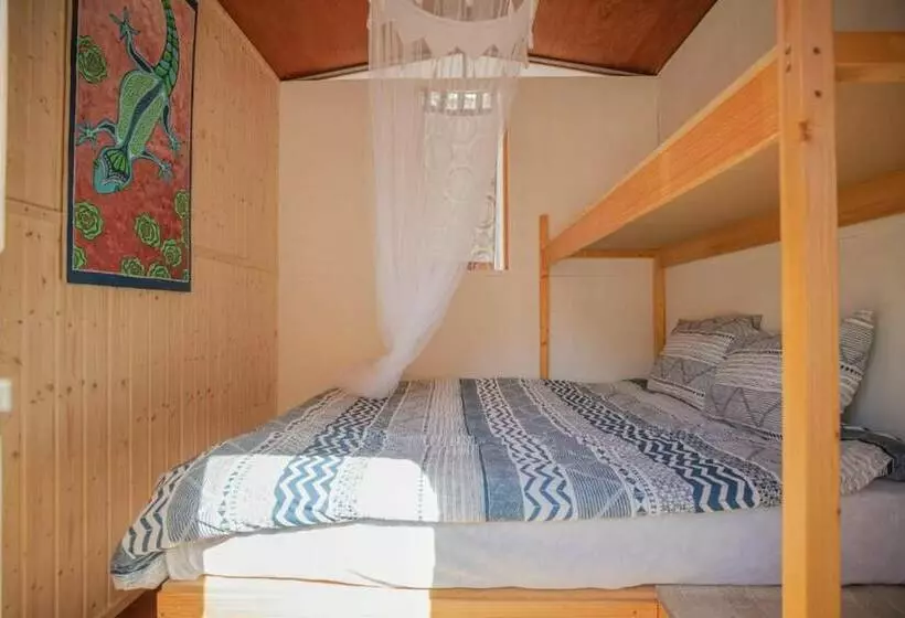 ホテル Blue Ocean Camp  Tasartico