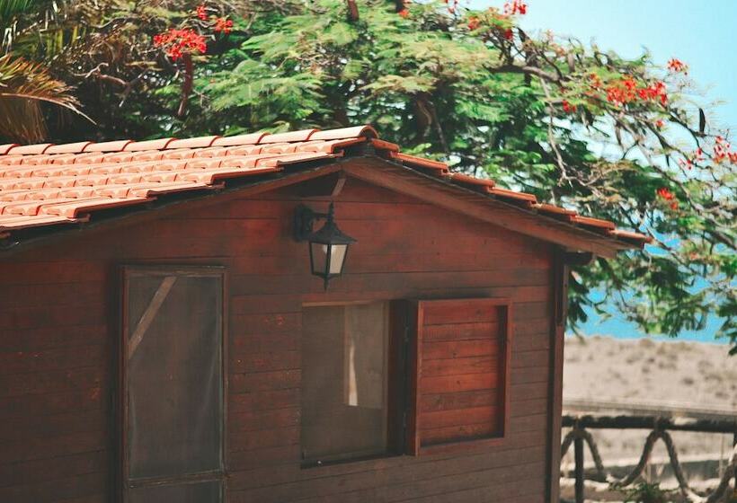 호텔 Blue Ocean Camp  Tasartico