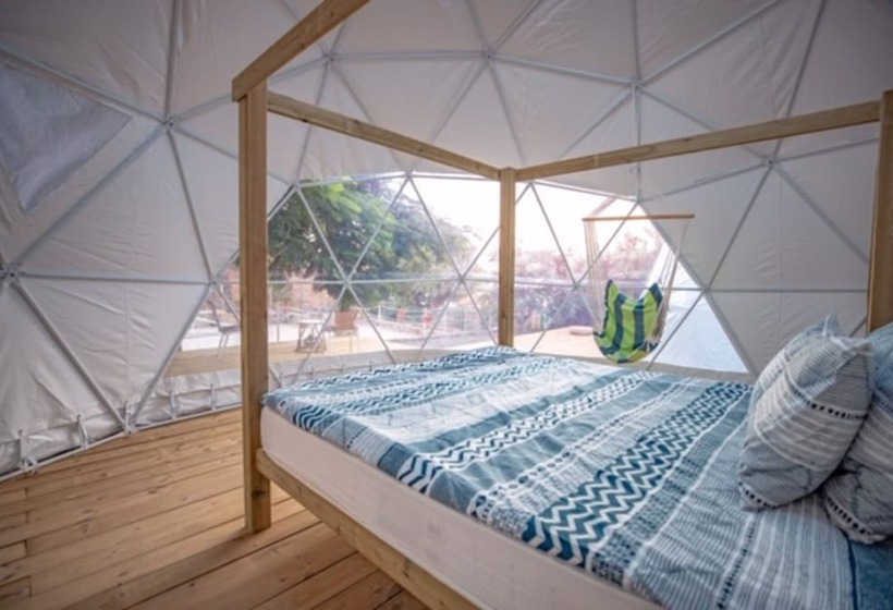 호텔 Blue Ocean Camp  Tasartico