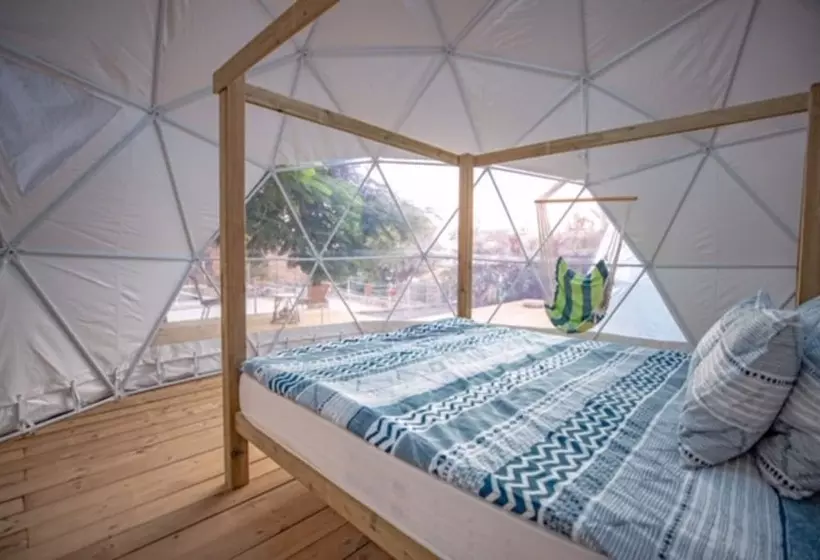 ホテル Blue Ocean Camp  Tasartico