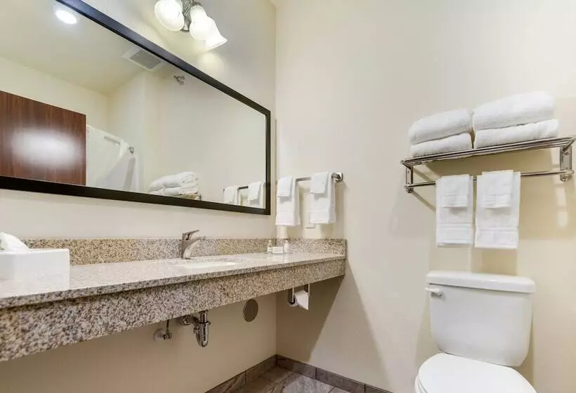 Cobblestone Hotel & Suites   Cozad