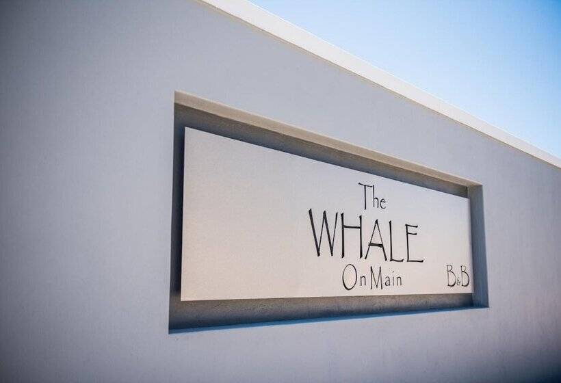 The Whale On Main B&b