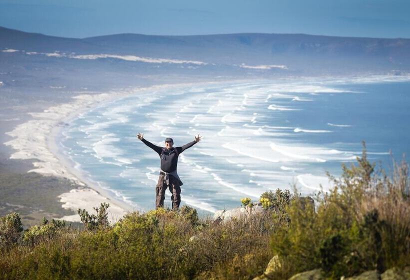 The Whale On Main B&b