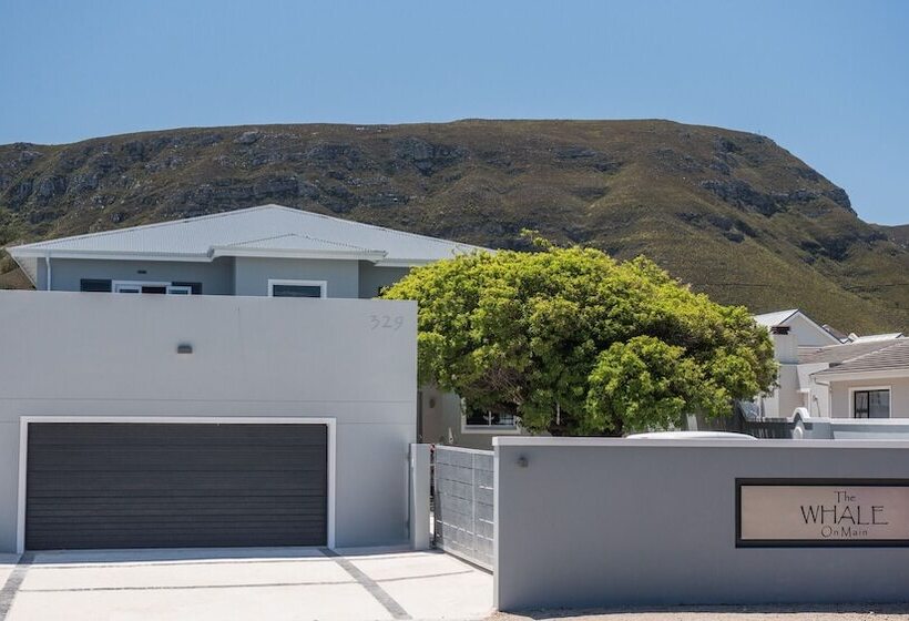 The Whale On Main B&b