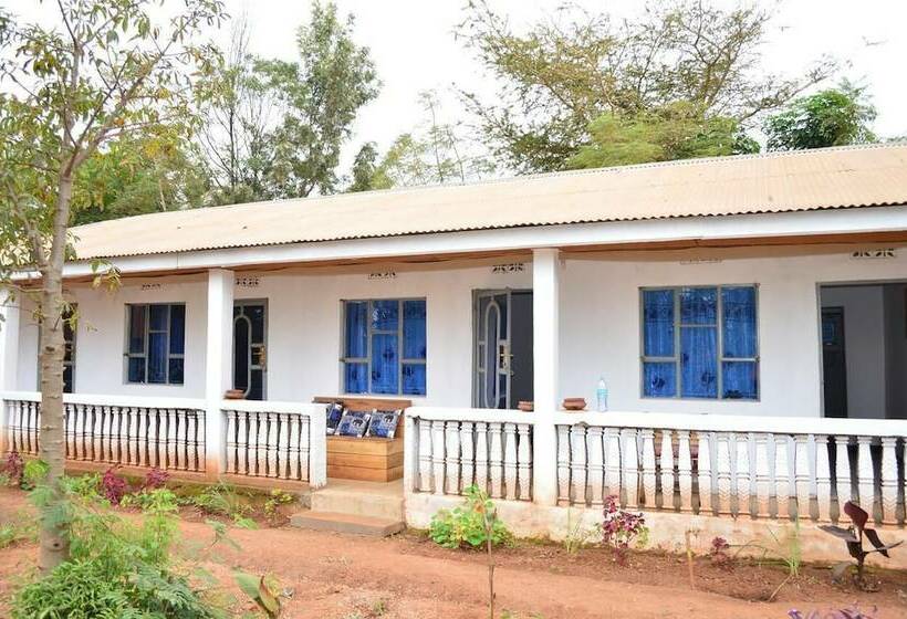 African Wagtail Hostel