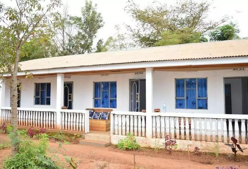 African Wagtail Hostel