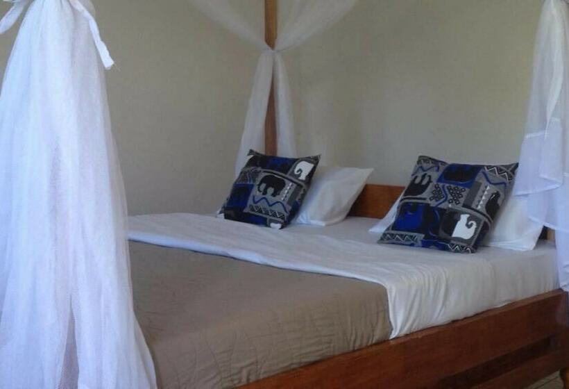 African Wagtail Hostel