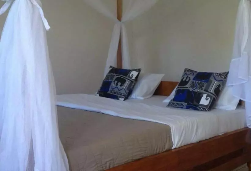 African Wagtail Hostel
