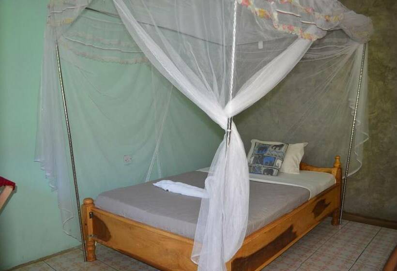 African Wagtail Hostel