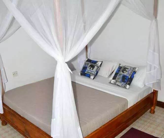 African Wagtail Hostel