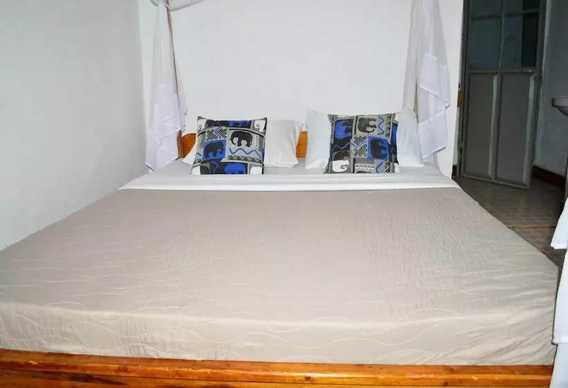 African Wagtail Hostel