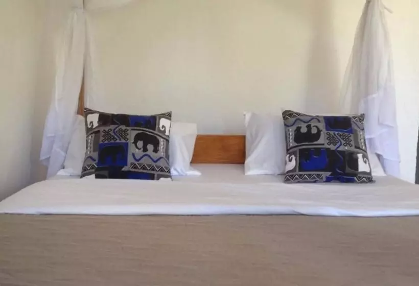 African Wagtail Hostel