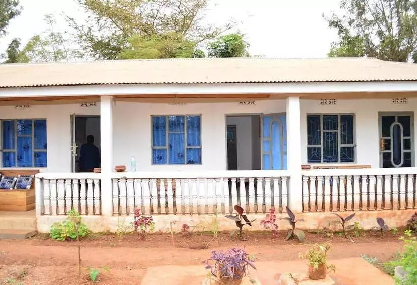 African Wagtail Hostel