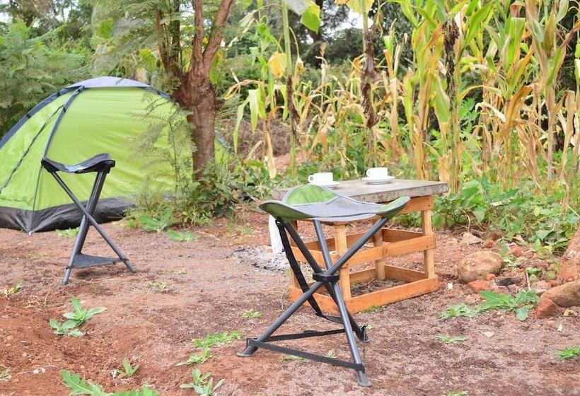 African Wagtail Hostel