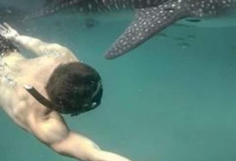 تختخواب و صبحانه Mangrove Beach Bungalows