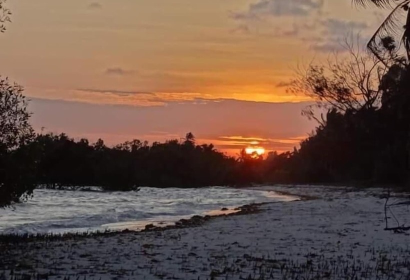 تختخواب و صبحانه Mangrove Beach Bungalows