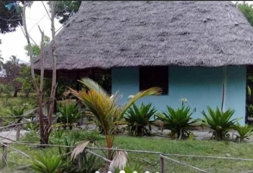 تختخواب و صبحانه Mangrove Beach Bungalows
