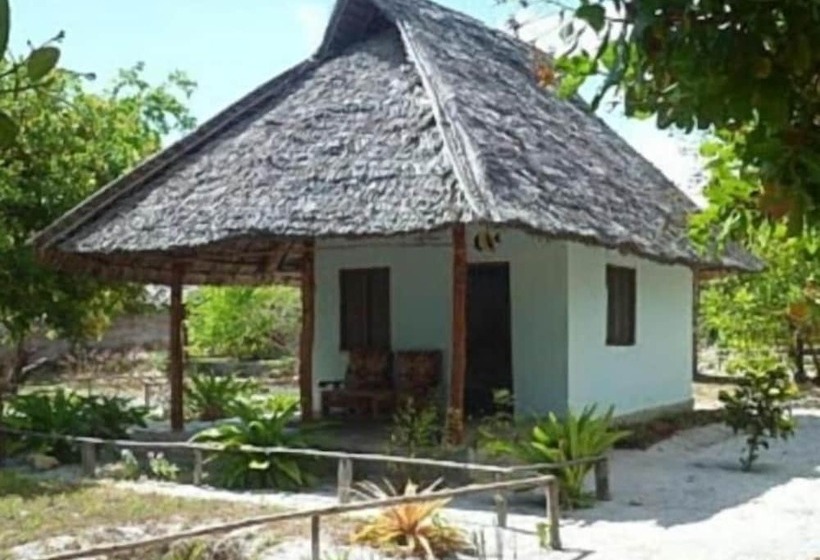 تختخواب و صبحانه Mangrove Beach Bungalows