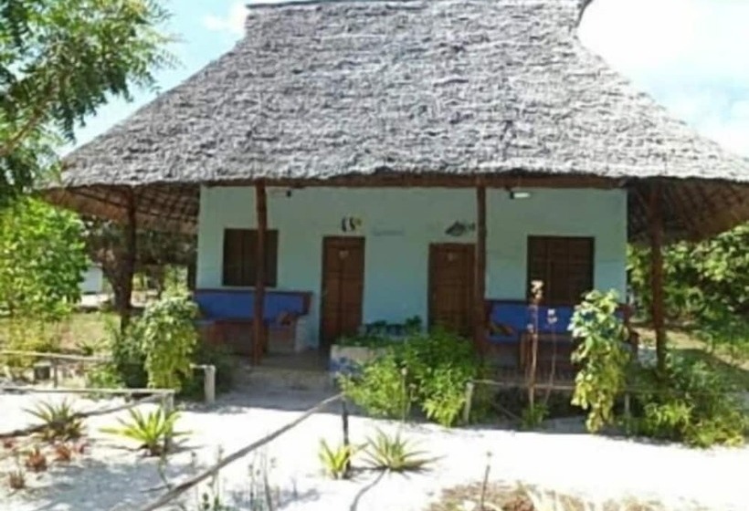 تختخواب و صبحانه Mangrove Beach Bungalows