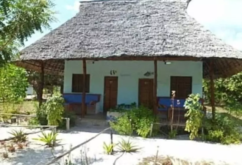 تختخواب و صبحانه Mangrove Beach Bungalows