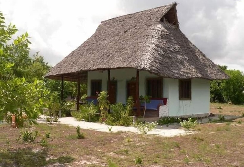تختخواب و صبحانه Mangrove Beach Bungalows