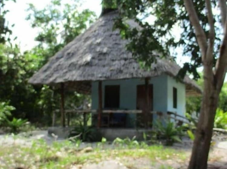 تختخواب و صبحانه Mangrove Beach Bungalows