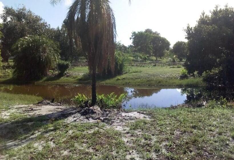 تختخواب و صبحانه Mangrove Beach Bungalows