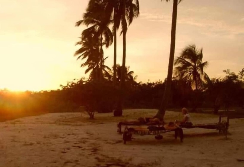 تختخواب و صبحانه Mangrove Beach Bungalows